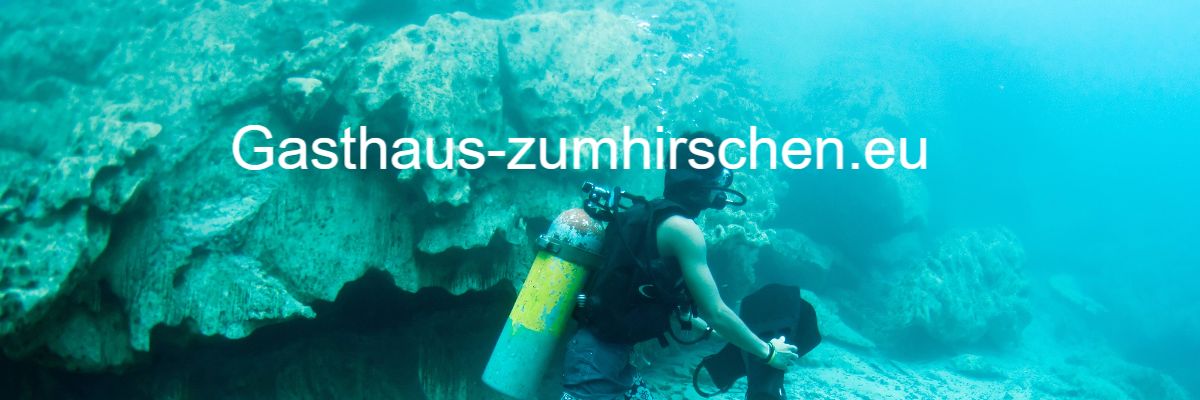 gasthaus-zumhirschen.eu